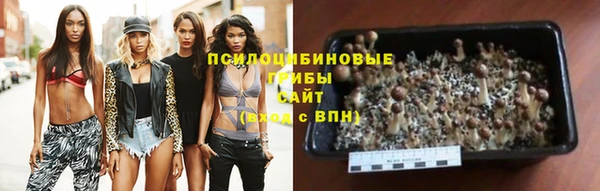 прущий лед Алексин