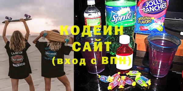 прущие грибы Алзамай