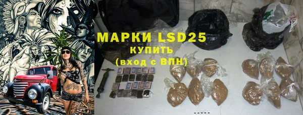 прущие грибы Алзамай